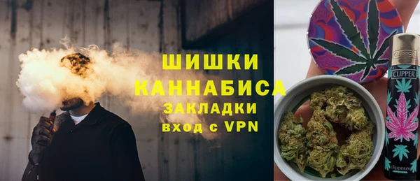 хмурый Новозыбков