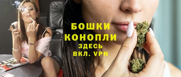 хмурый Новозыбков