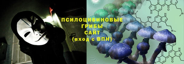 трава Новодвинск