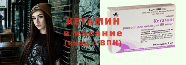 трава Новодвинск