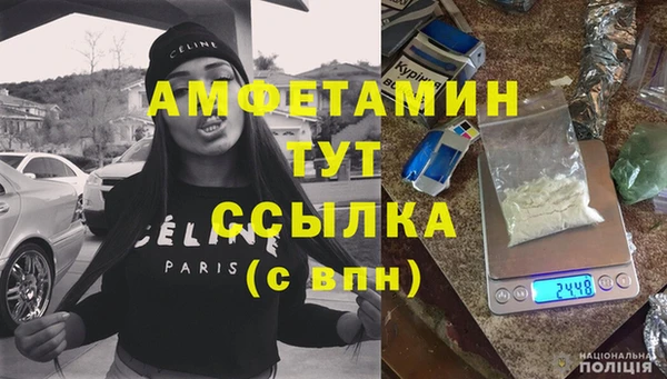 хмурый Новозыбков