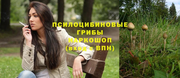 трава Новодвинск