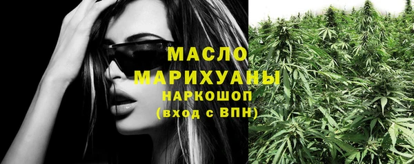 хмурый Новозыбков
