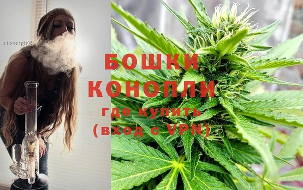 хмурый Новозыбков