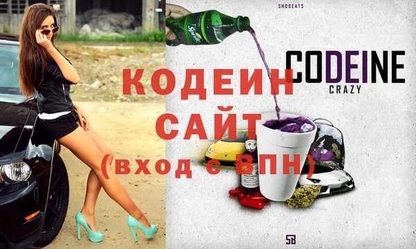 хмурый Новозыбков