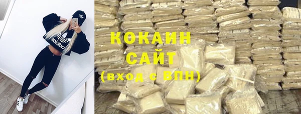 хмурый Новозыбков