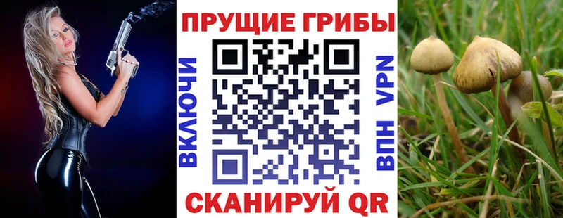 Галлюциногенные грибы прущие грибы  хочу наркоту  Лесозаводск 