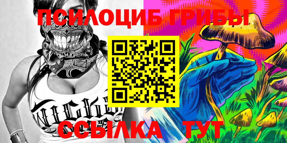 Лесозаводск  Галлюциногенные грибы Cubensis  Вход с VPN 